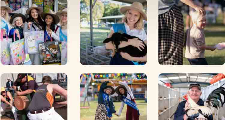 Showground – Mudgeeraba